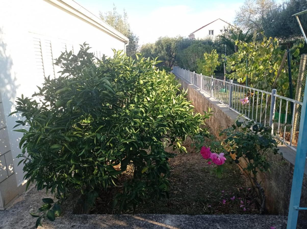 My Mediterranean Villa With Huge Garden And Own Parking Lumbarda Extérieur photo